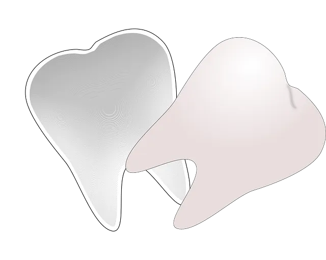 מומחה להשתלות שיניים